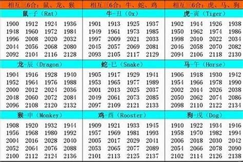 1974屬|1974年出生的人属什么 1974年属虎五行属什么